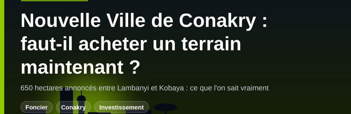 Nouvelle Ville de Conakry (650 ha entre Lambanyi et Kobaya) : faut-il acheter un terrain maintenant ?