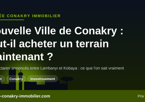 Nouvelle Ville de Conakry (650 ha entre Lambanyi et Kobaya) : faut-il acheter un terrain maintenant ?
